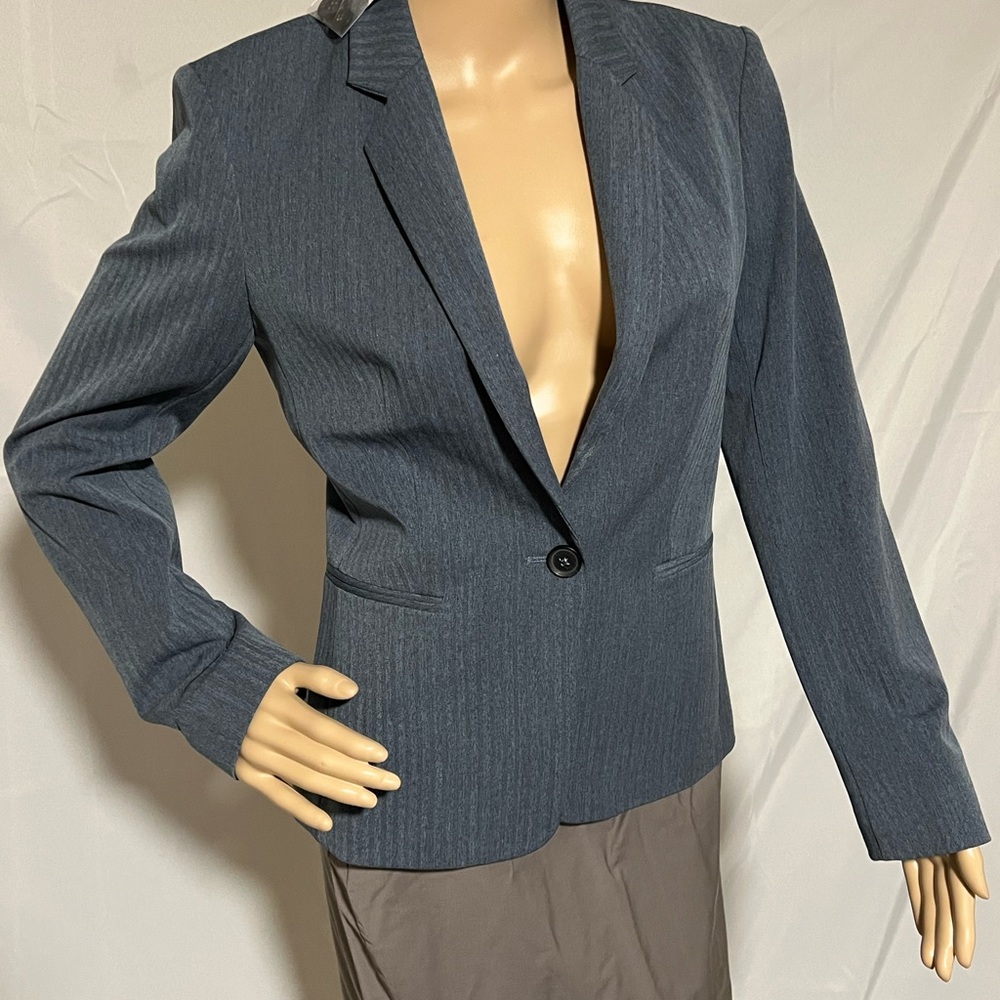 Express Charcoal Pinstripe Blazer